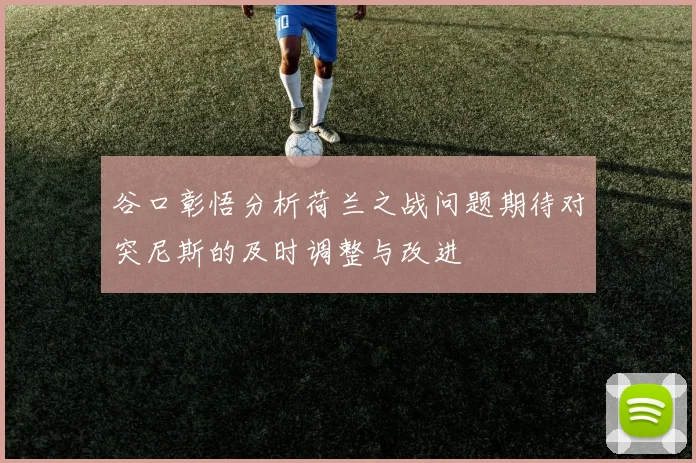 谷口彰悟分析荷兰之战问题期待对突尼斯的及时调整与改进