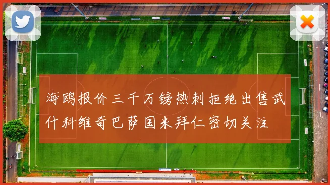 海鸥报价三千万镑热刺拒绝出售武什科维奇巴萨国米拜仁密切关注